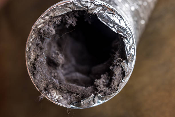 Best Air Vent Cleaning Services  in Mount Ida, AR