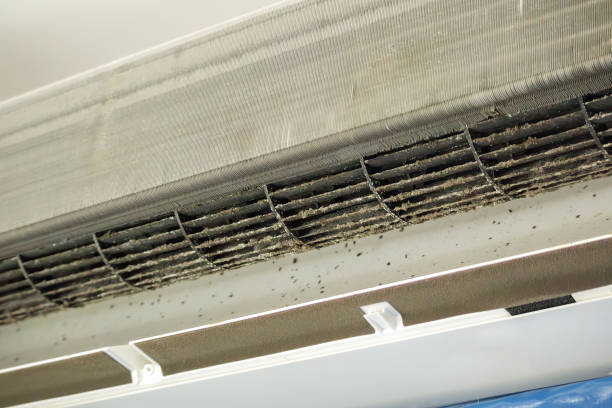 Best HVAC Duct Inspection Services  in Mount Ida, AR
