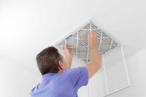 Best Professional Duct Cleaning Services  in Mount Ida, AR